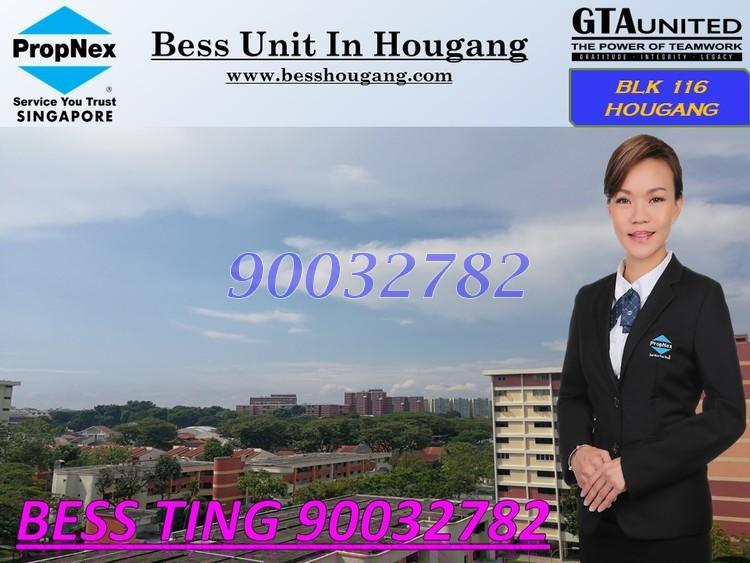 Blk 116 Hougang Avenue 1 (Hougang), HDB 3 Rooms #158342422